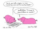 theorie-complot-cochons