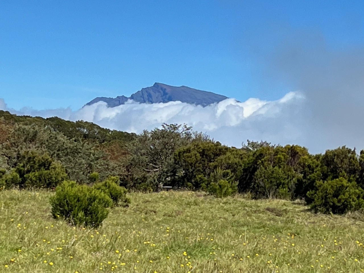 le Piton des Neiges et sa colerette de nuages.jpeg