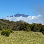 le Piton des Neiges et sa colerette de nuages.jpeg