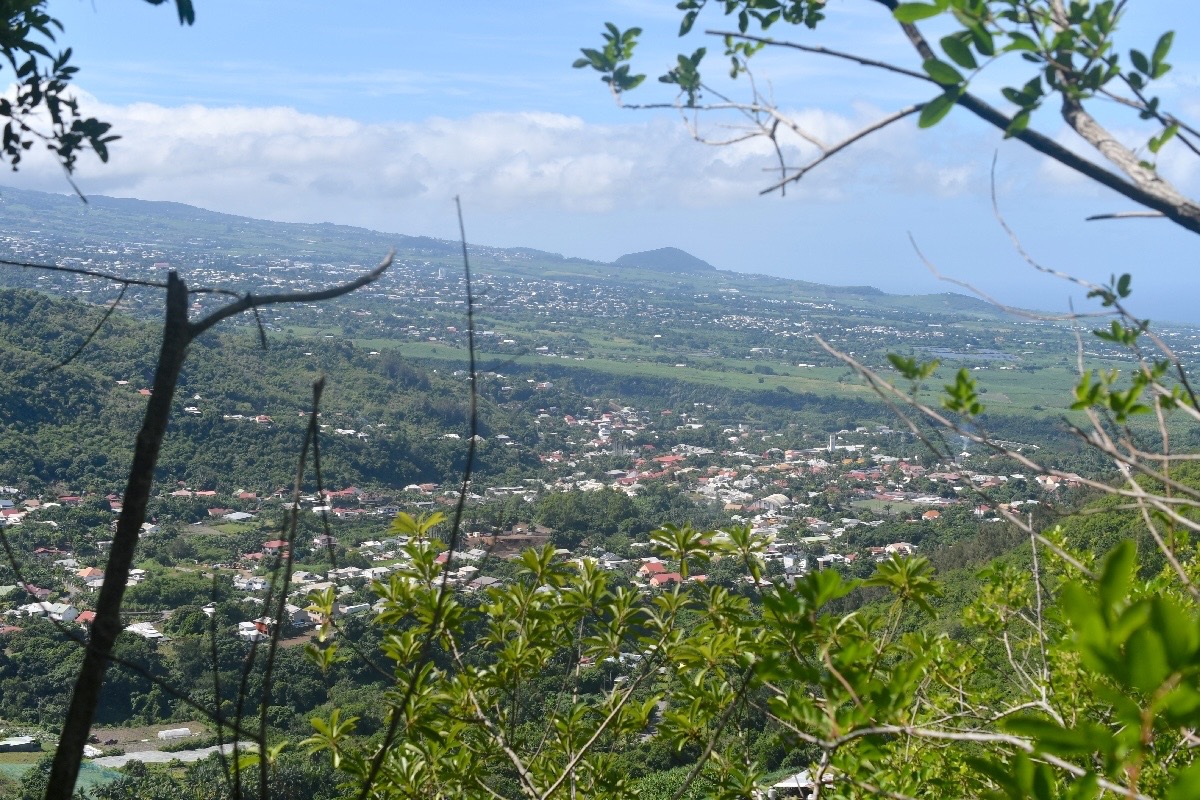 L'Entre-Deux et Piton Mont Vert 1385.jpeg