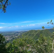 Vers_St_Pierre_Au_loin_Piton_MontVert-20240326_105549.jpg