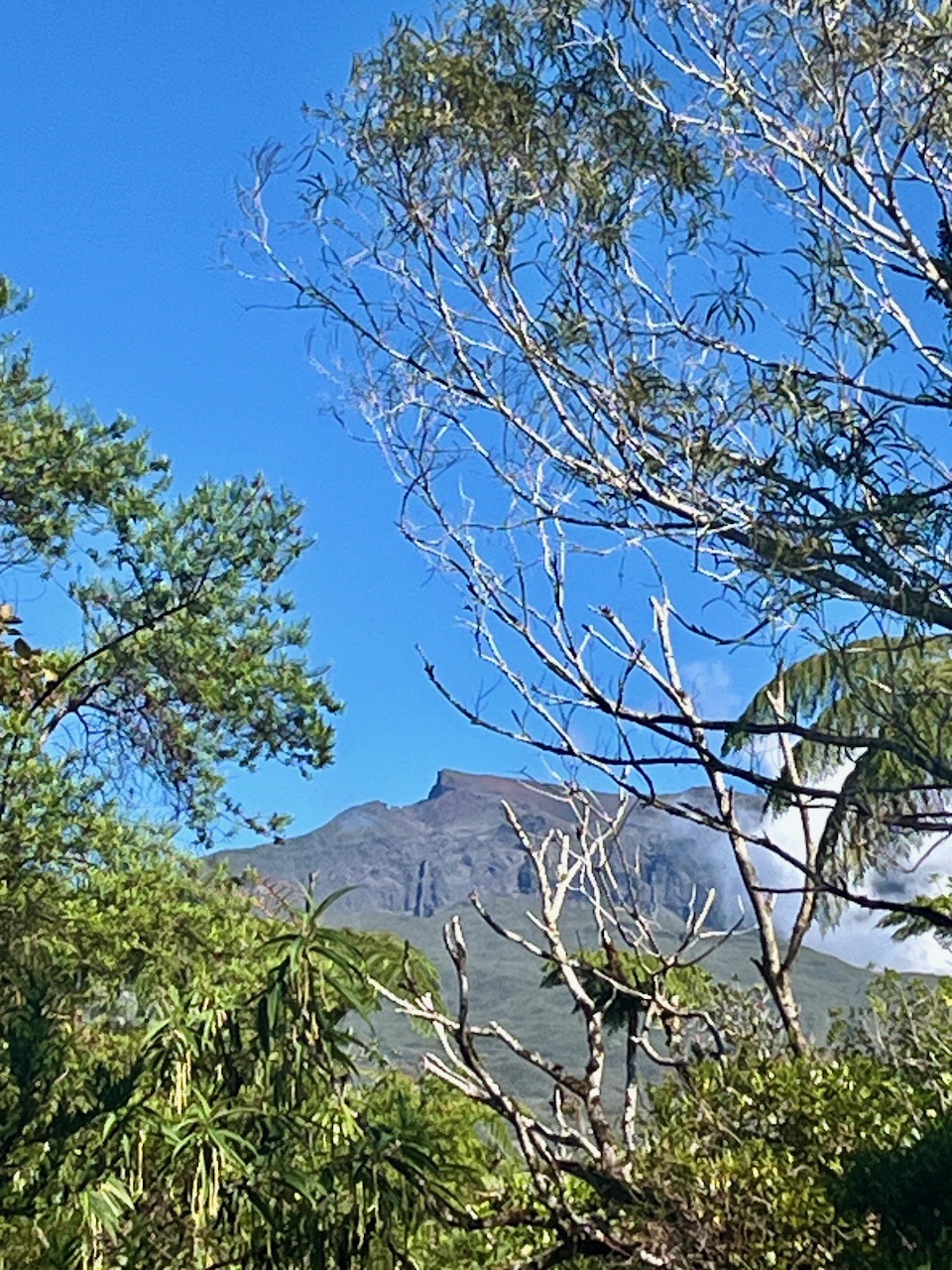 5. Le Piton des Neiges vu du sentier.jpeg