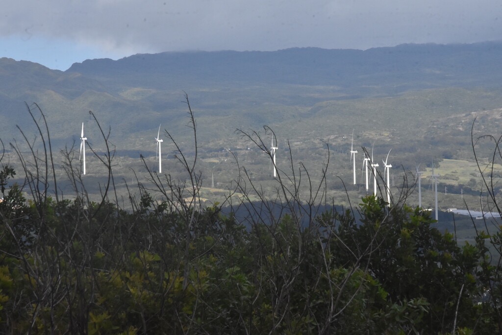 Vue_sur_les_eoliennes_depuis_l_Etang_de_Bois_Rouge-MB3_7137.jpg