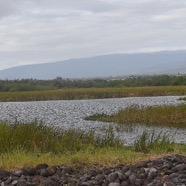 Etang de Bois Rouge 2690.jpeg