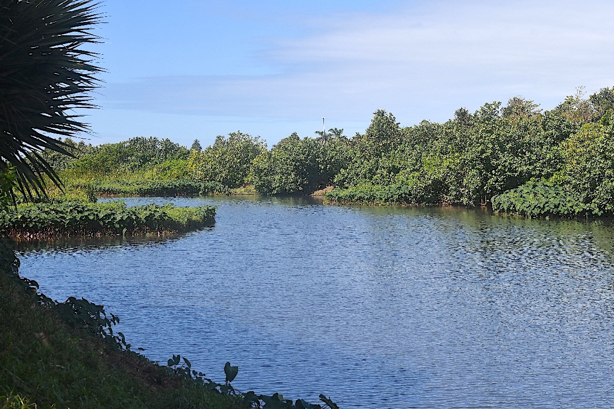 Etang de Bois Rouge 2771.jpeg