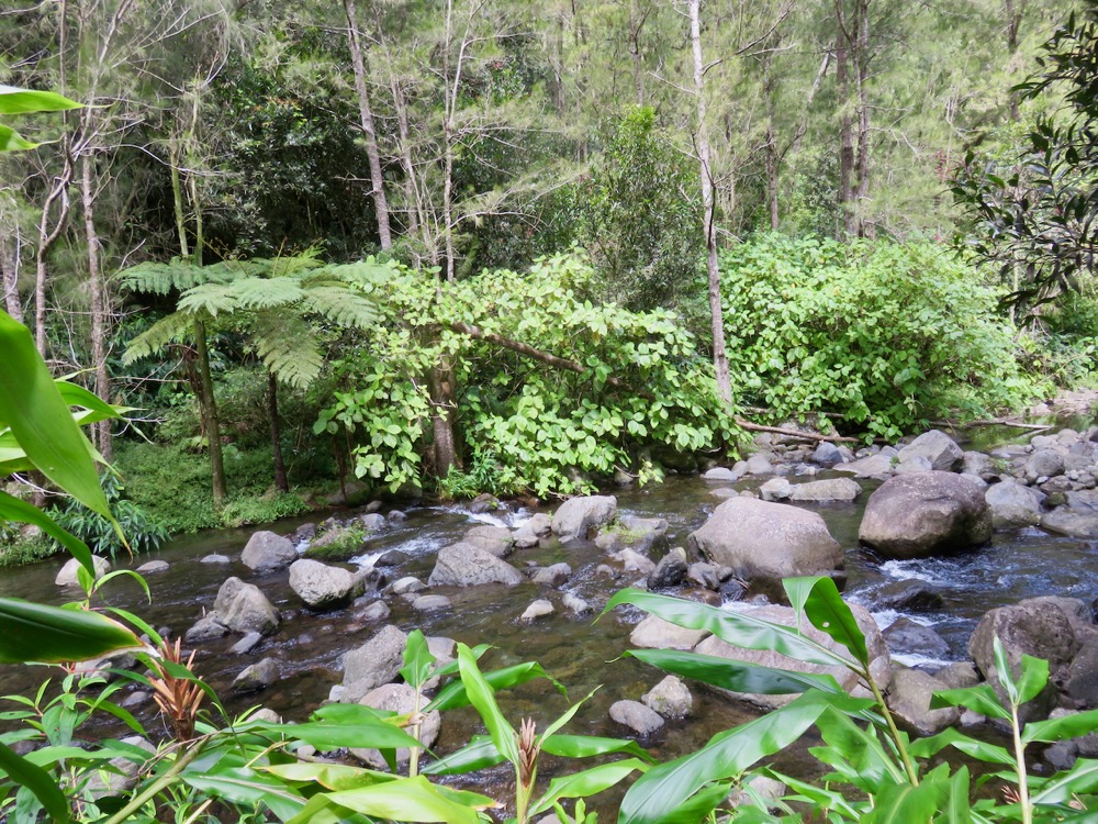 22. Et au milieu coule une rivière....jpeg