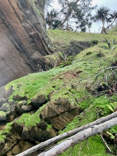 21. Le début de la falaise côté montagne.jpeg