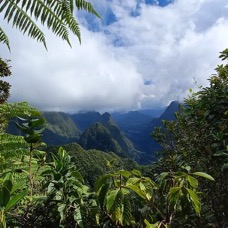 Vue sur Salazie depuis le kiosque -20230725_140459.jpg