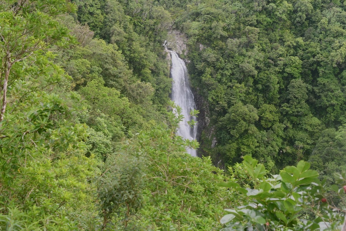 Cascade du Chien 1821.jpeg