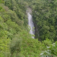 Cascade du Chien 1821.jpeg