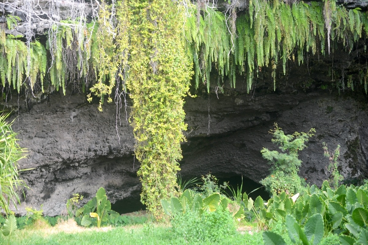 Grotte des premiers français 8864.jpeg