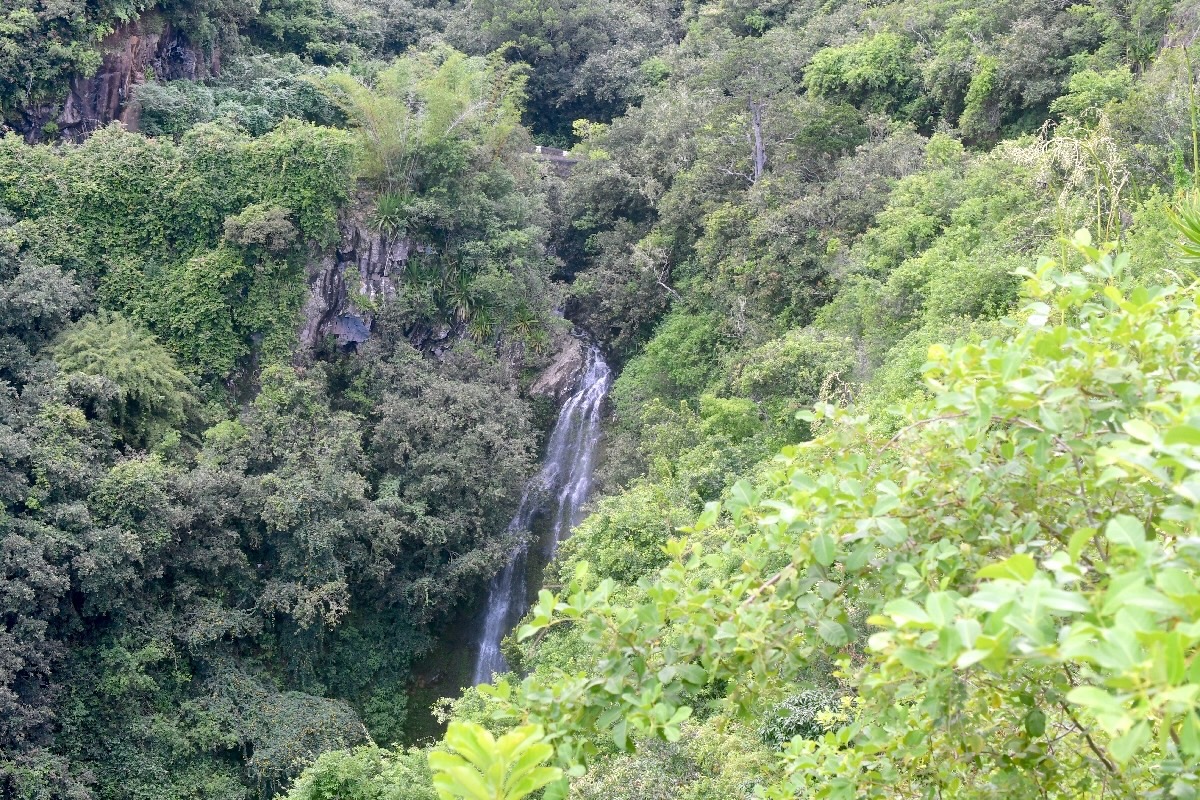 Cascade Oratoire St-Michel 798.jpeg