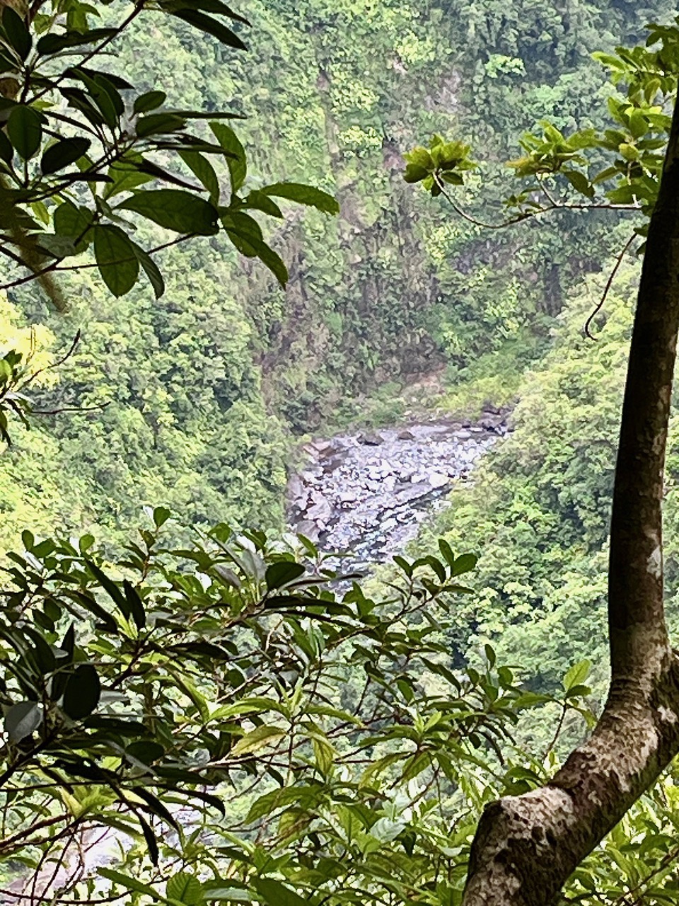 Point de vue sur la rivière de l'Est.jpeg