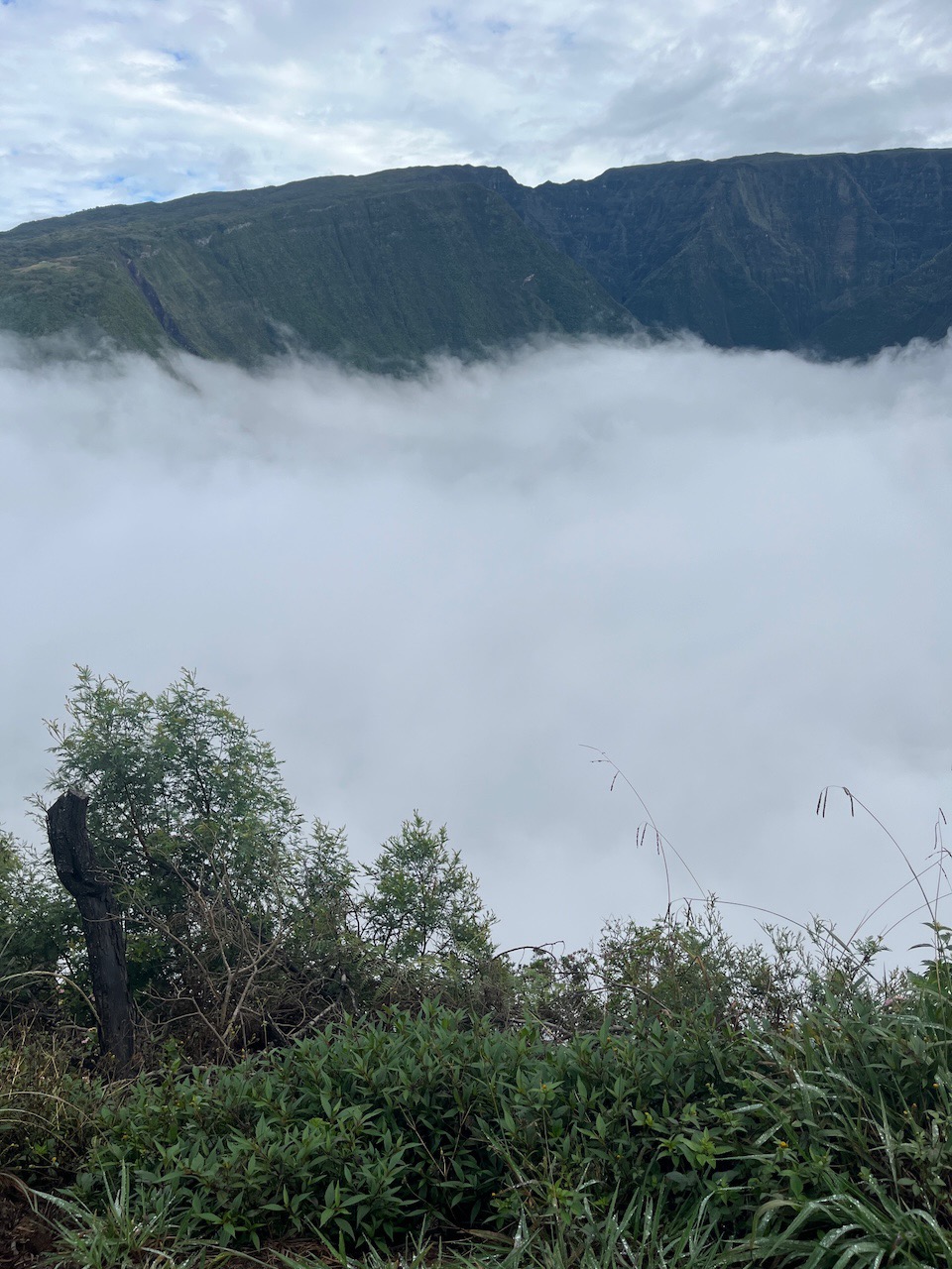 2. Le sentier est dans les nuages..jpeg