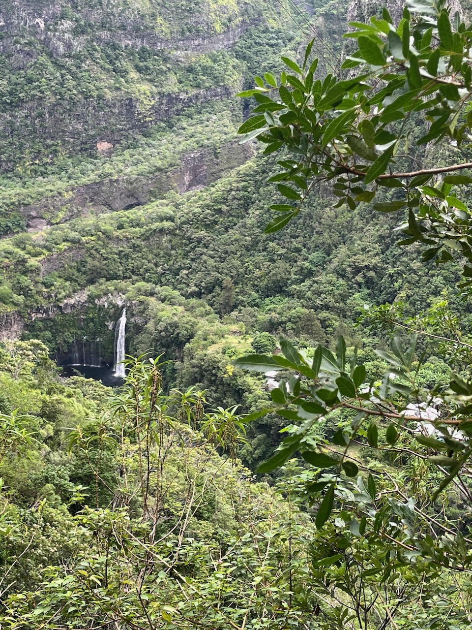 9. La cascade de Grand Bassin.jpeg