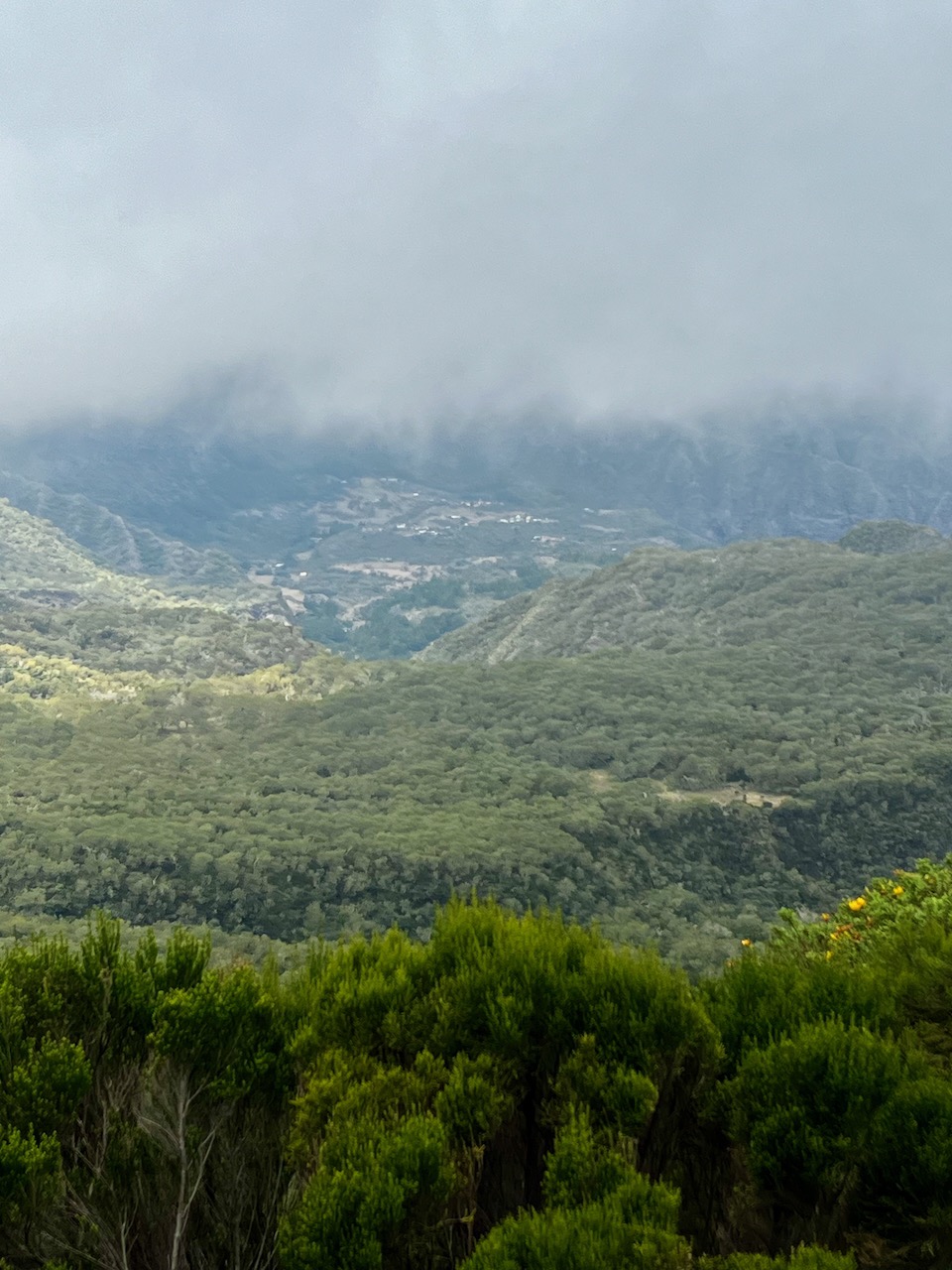 1. C'est là-bas que se trouve le gîte ! (Descente du Col des bœufs, la Tamarinaie au centre , Marla au loin).jpeg