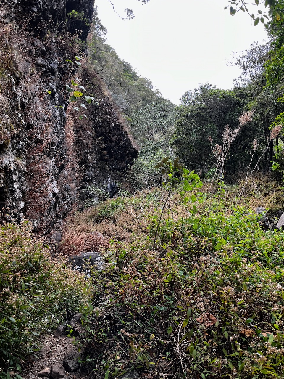 34. Montée laborieuse dans une ravine étroite.jpeg