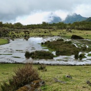 au plateau de Kerval.jpeg