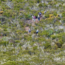 sur le sentier du Grand Bord au Maîdo.jpeg