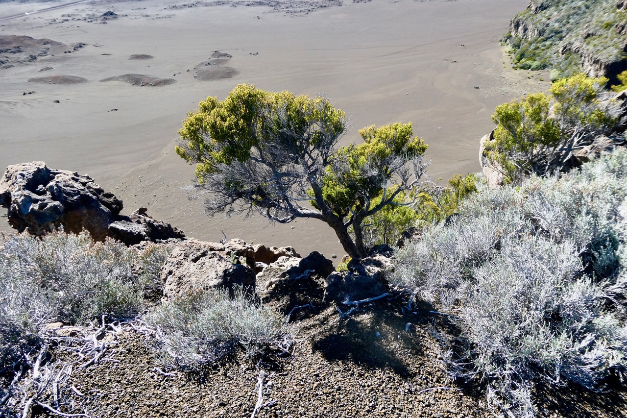 vue sur la Plaine des Sables.jpeg