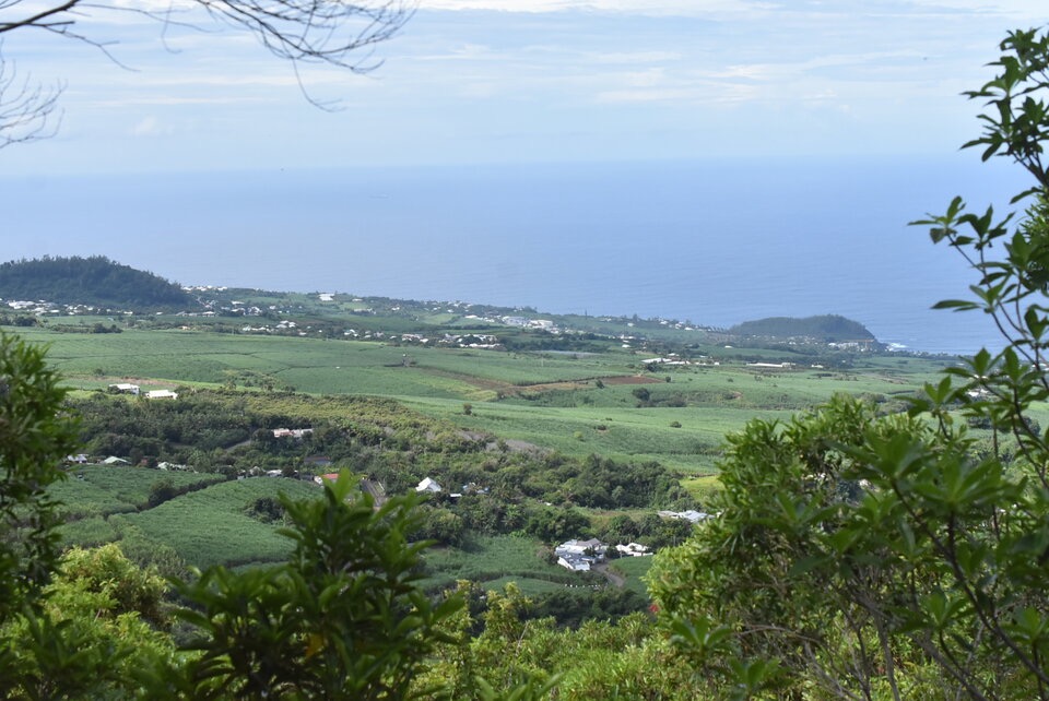 Petite Ile depuis Piton Mont Vert - MB3_1708.jpg