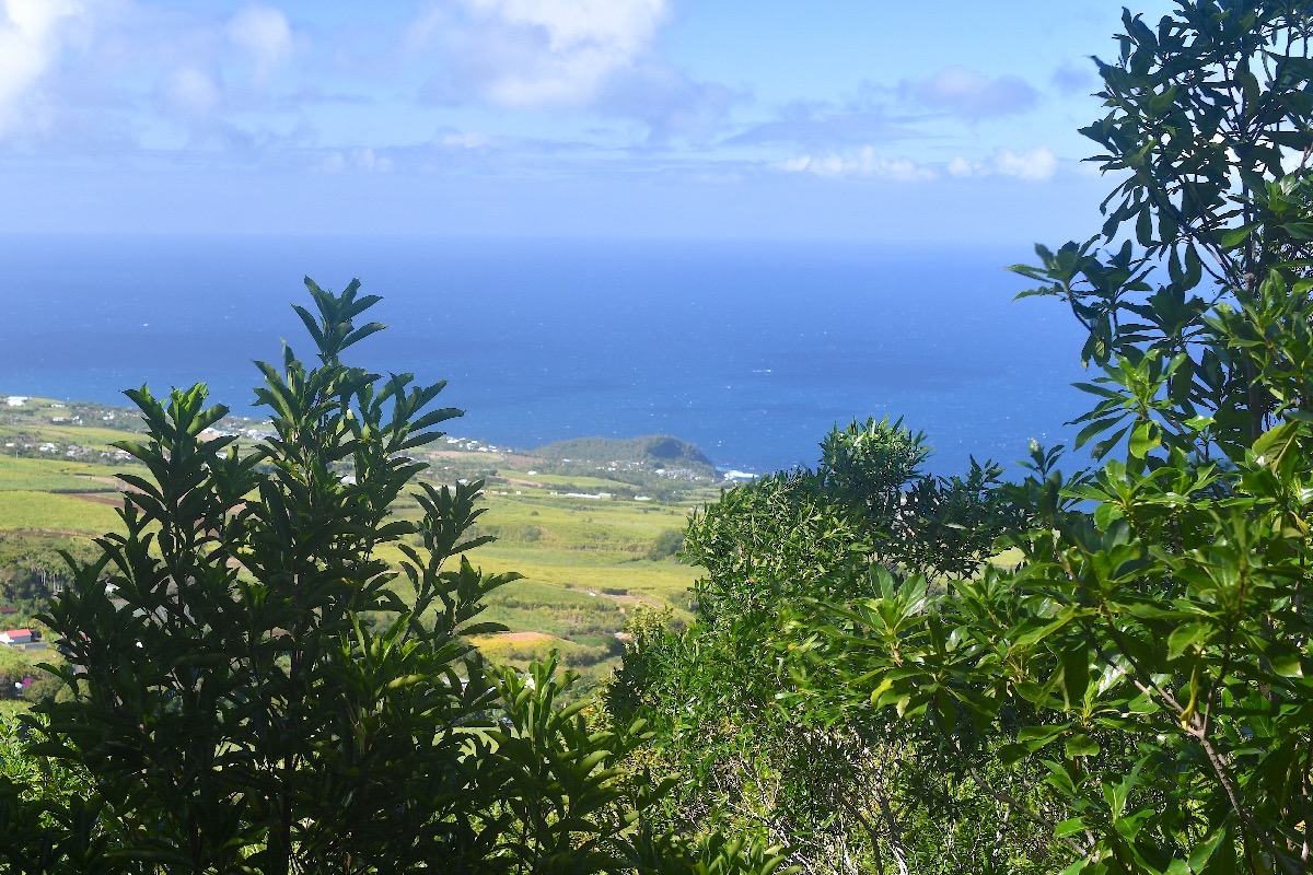 Vue sur le Piton de Grande Anse 3238.jpeg