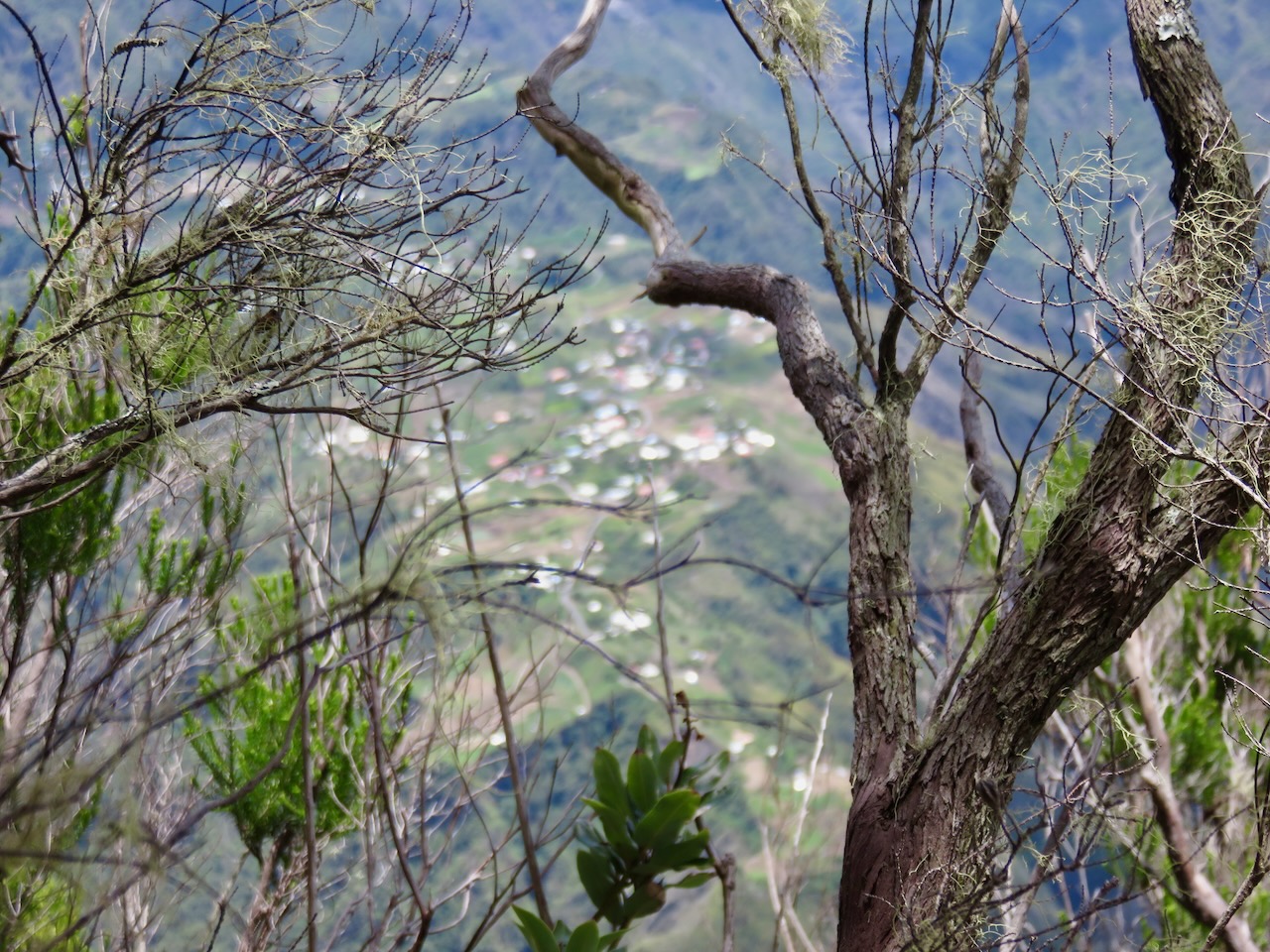 19. Du bord du rempart, vue sur Ilet à Cordes IMG_3521.JPG.jpeg