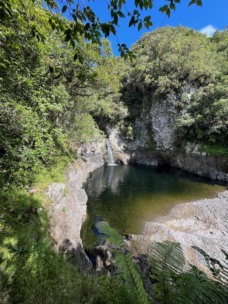 25. Cascade du Bras Noir.jpeg