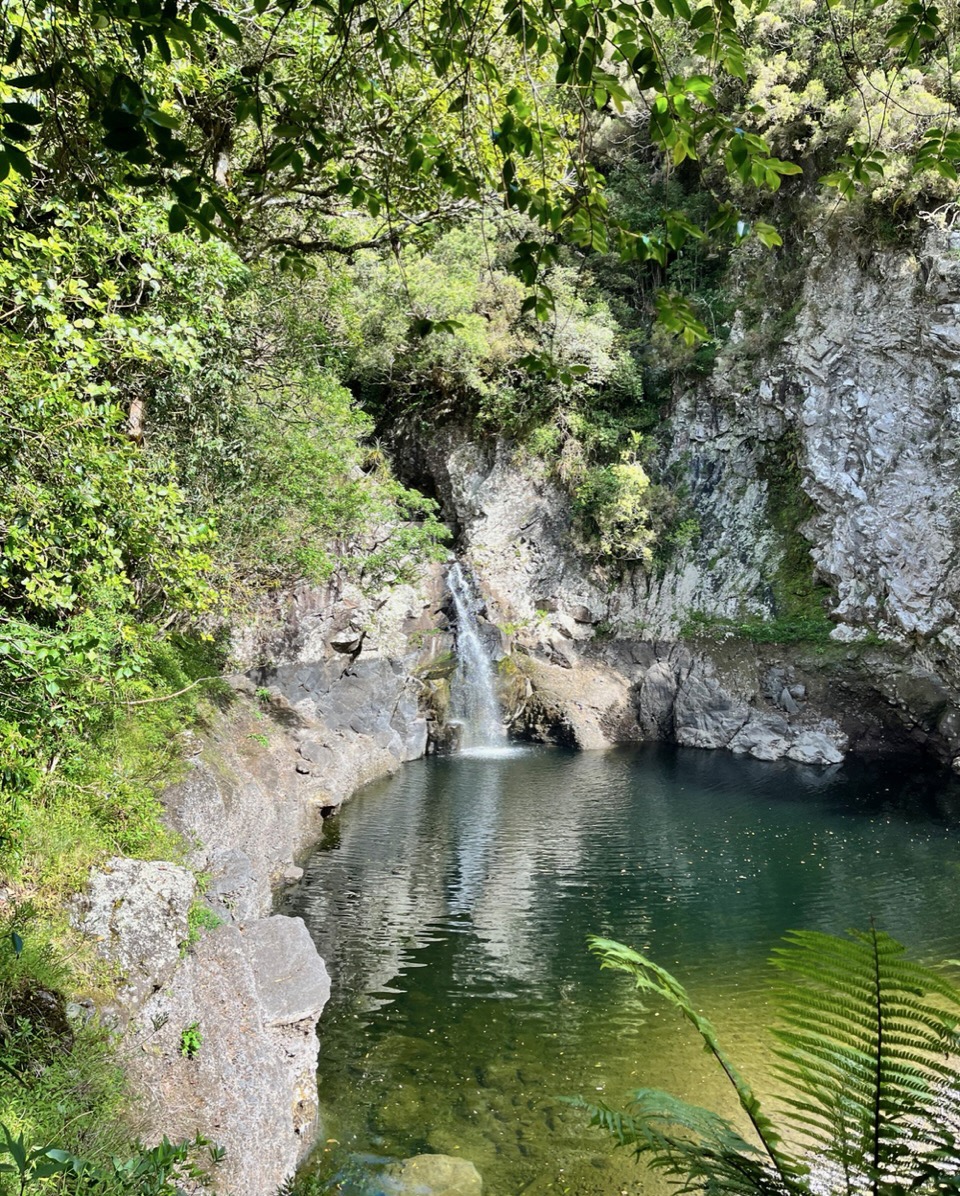 Cascade et bassin.Vallée du Bras Noir à la Petite Plaine..jpeg