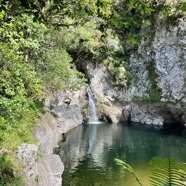 Cascade et bassin.Vallée du Bras Noir à la Petite Plaine..jpeg