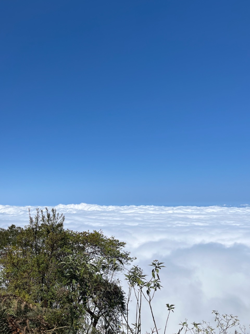 5. À l'arrivée, malgré le soleil, la mer de nuages est déjà là..jpeg