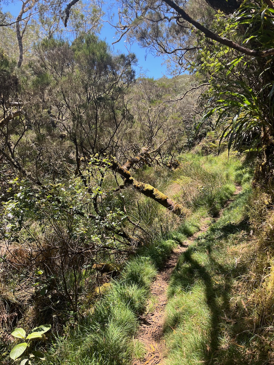 21. Le sentier longe un des bras de la ravine du Malabar mort.jpeg