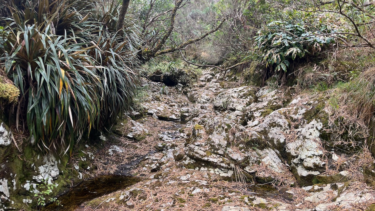 24. Traversée d'un bras de la Ravine du Malabar mort.jpeg