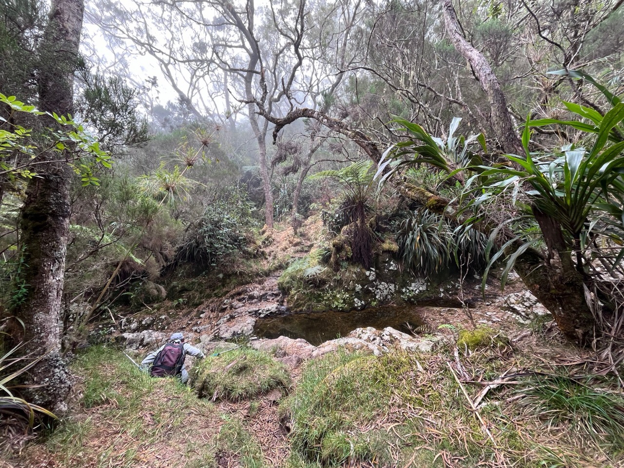 sentier de la Ravine du Gol.jpeg