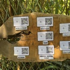 13. QR codes.jpeg