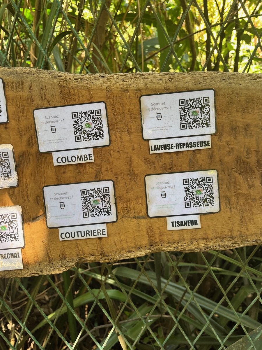 14. QR codes.jpeg