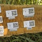 14. QR codes.jpeg