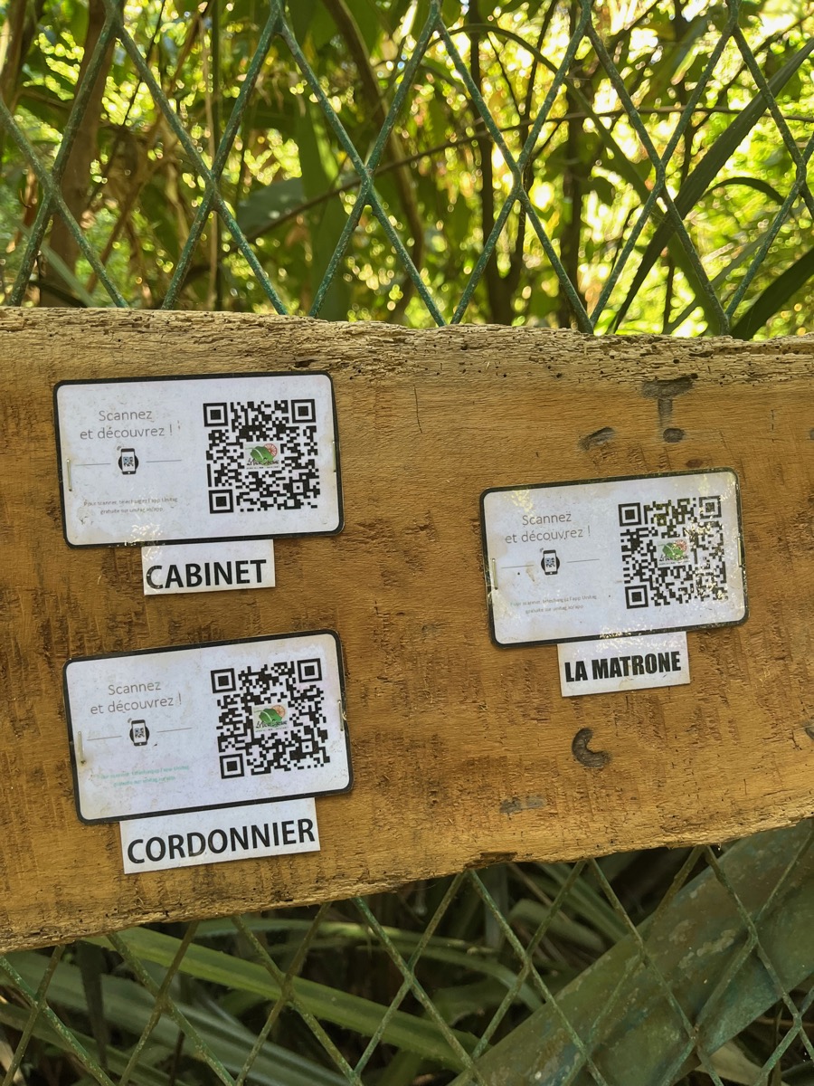 15. QR codes.jpeg