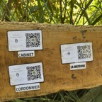 15. QR codes.jpeg