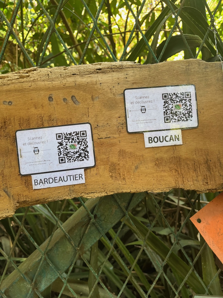 16. QR codes.jpeg