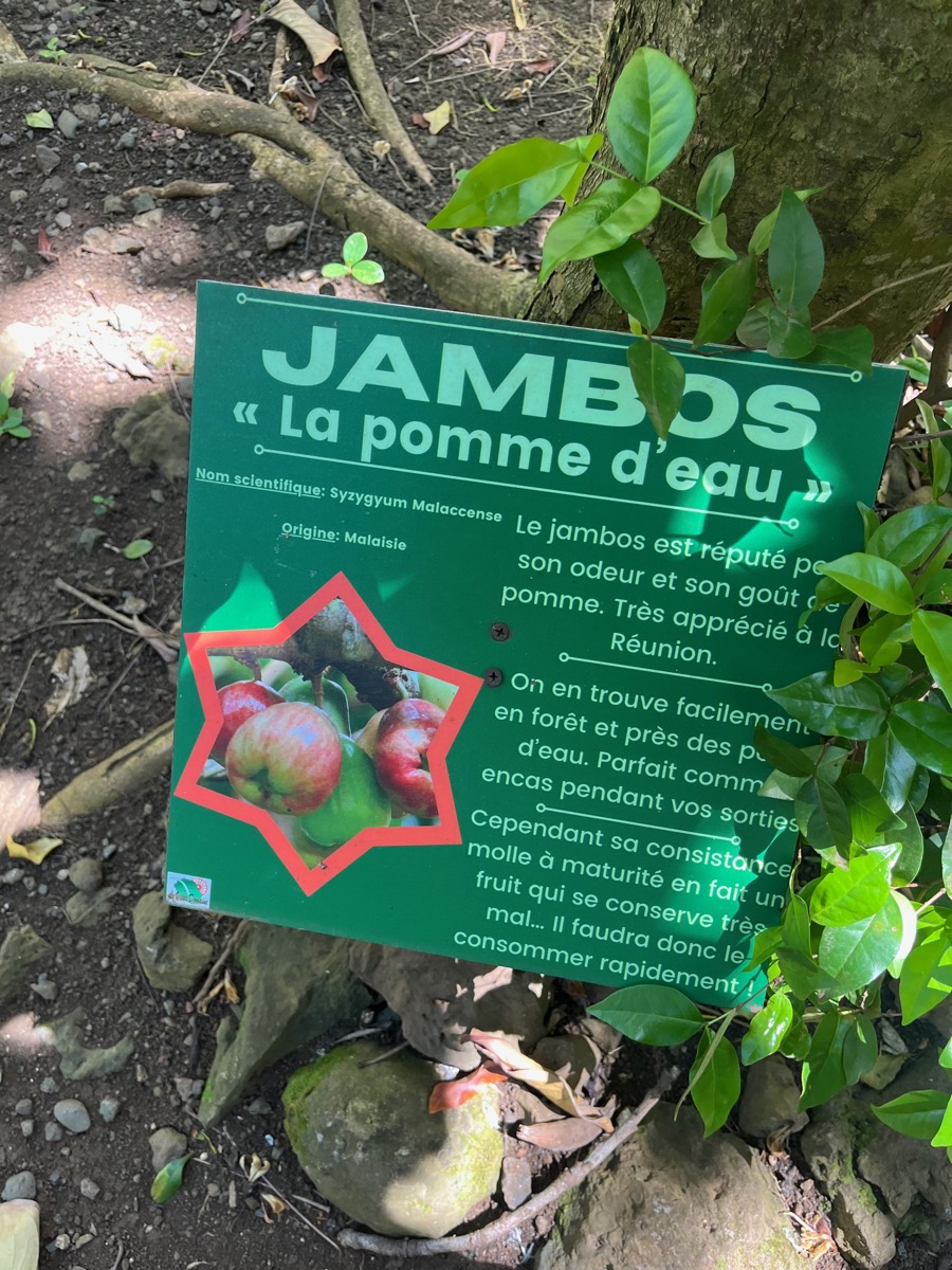 23.  Fiche du Jambos IMG_1254.HEIC.jpeg