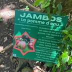 23.  Fiche du Jambos IMG_1254.HEIC.jpeg